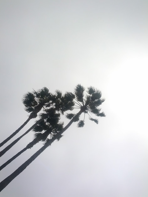 Cover photo