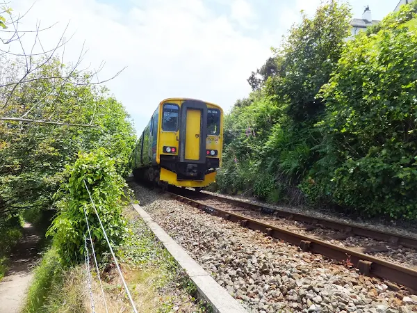 Train at Carbis Bay