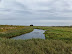 Titchwell marsh