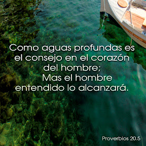 Proverbios 20.5