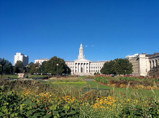 Denver City Council