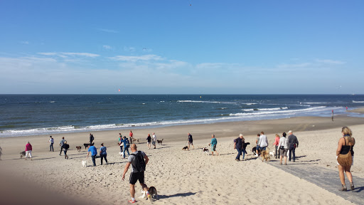 Texel