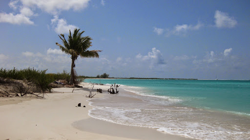 Place around image