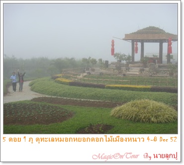 photo magic on tours