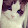 Jolicris Ofqueria Jolicris Ofqueria's profile photo
