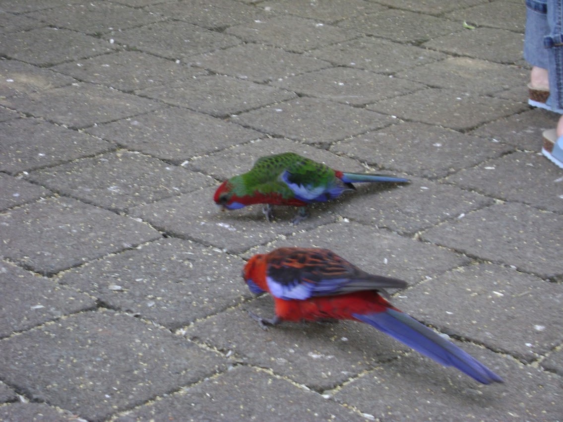 DSC02104.JPG