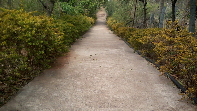 Cover photo