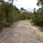 Trail leading over rock platform (350329)