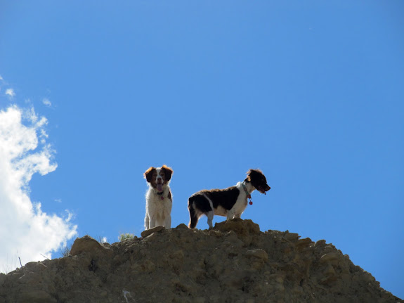 Torrey and Boulder waiting for me at the top