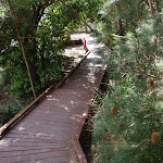 Boardwalk to Camp Curlew (69922)