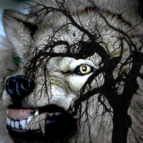 A Word On Skin Walkers A Word On Skin Walkers