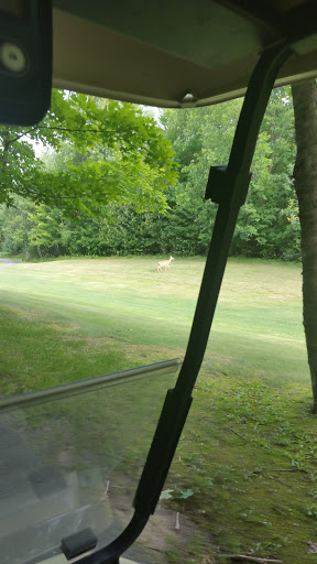 3131 Golf Course Rd, Rhinelander, WI 54501, USA