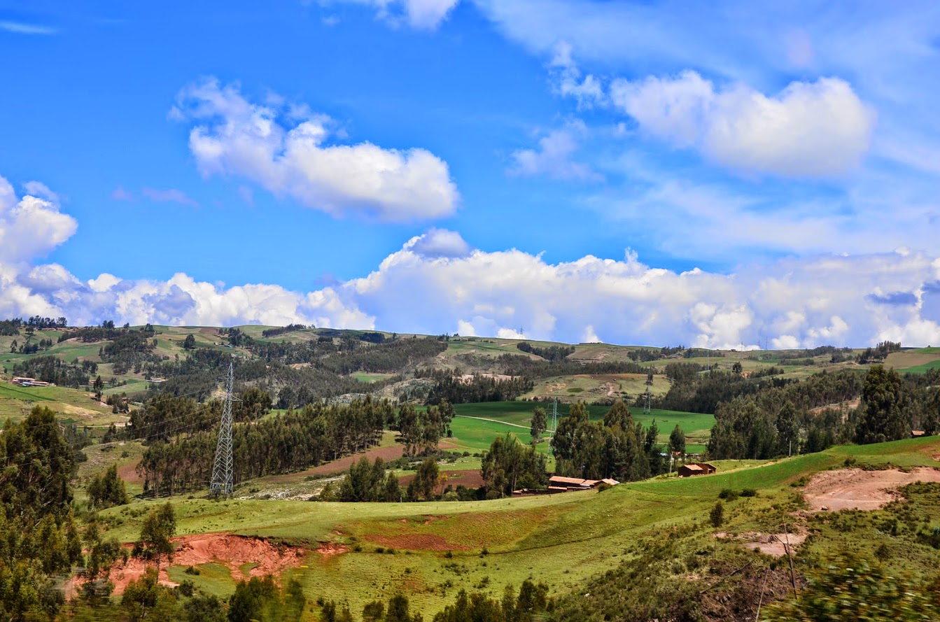 DSC_4216.JPG