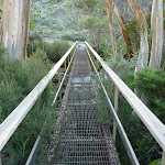 Crossing the western Thredbo River bridge (284243)