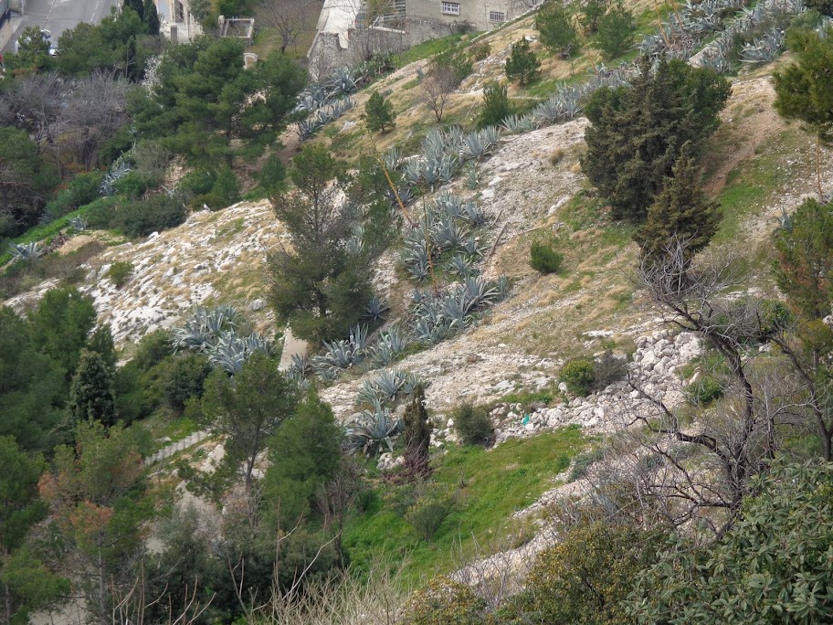 А включите-ка мне усилители качки! А подайте-ка белых пиджаков. Costa Paсifica февраль 13г