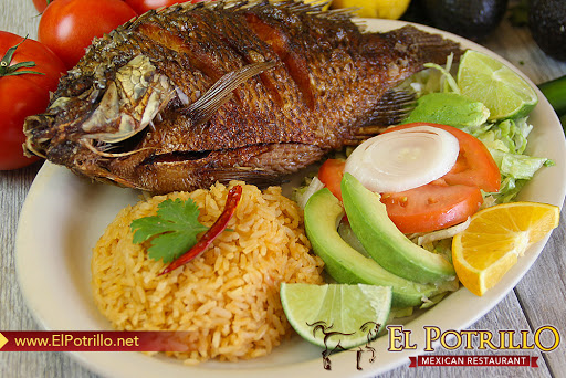 Mexican Restaurant «El Potrillo Mexican Restaurant», reviews and photos, 8465 Holcomb Bridge Rd, Alpharetta, GA 30022, USA