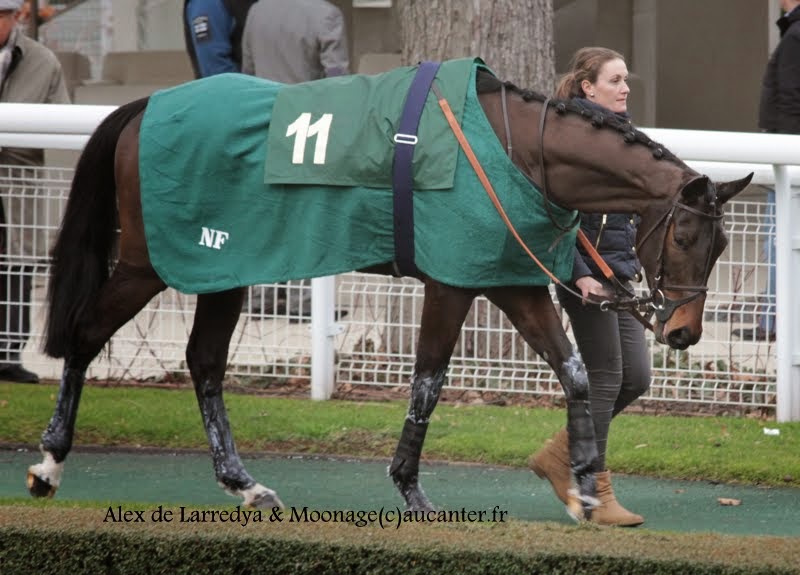 Photos Auteuil 1-03-2015 IMG_7162