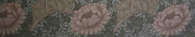 Cover photo