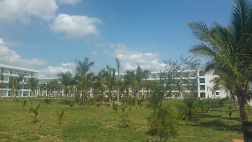 Hotel Riu Republica