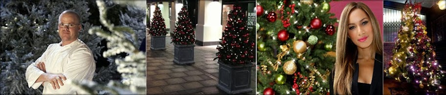 Office Christmas trees