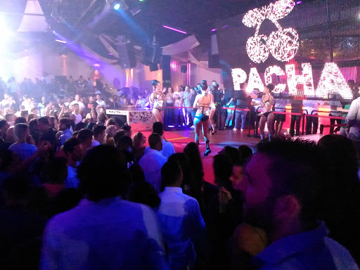 Pacha Ofir