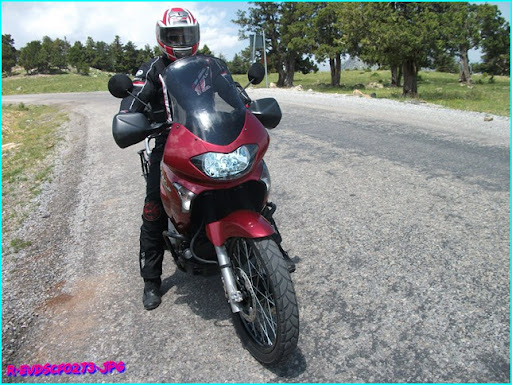 DSCF0273.JPG