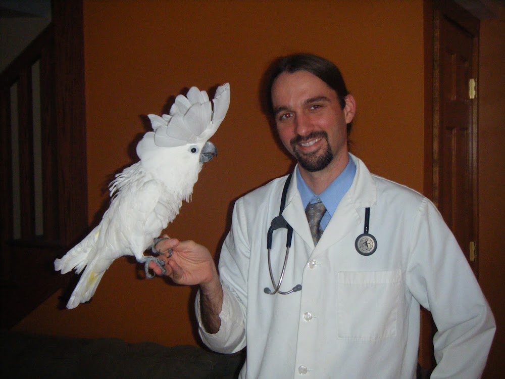 Ветеринар орнитолог. Орнитолог. Ученый орнитолог. Орнитолог хирург.