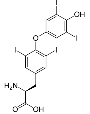 Structure Of  Levothyroxine Sodium