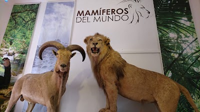 Photos of Museo de Historia Natural Muhna