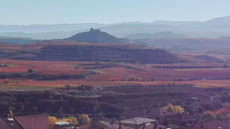 Hauptbild von Bodega Classica