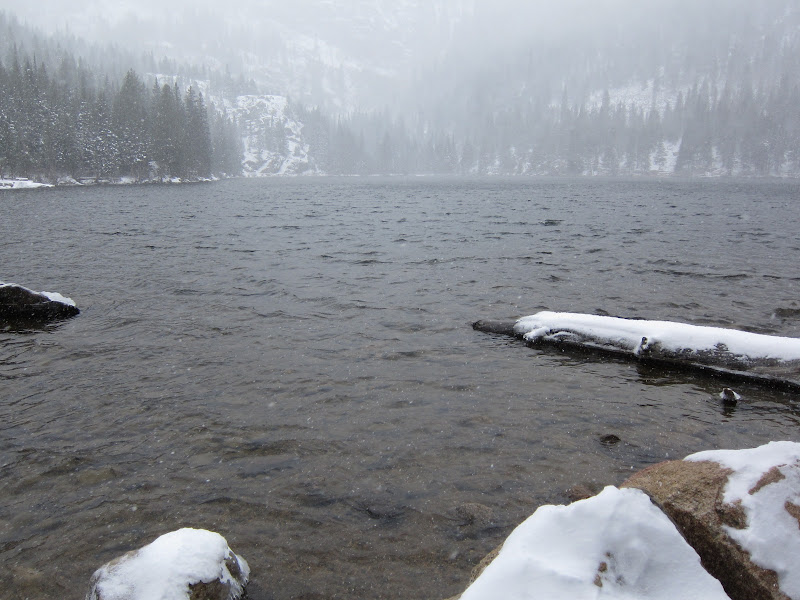 Bear Lake in snow storm, Rocky Mountain NP