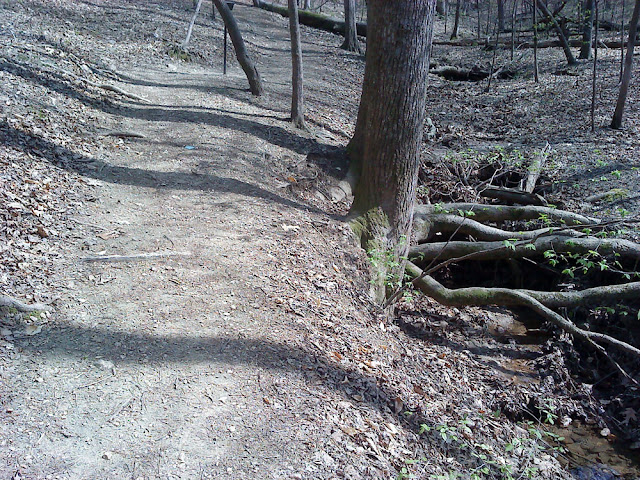 Inspiration Trail creek view