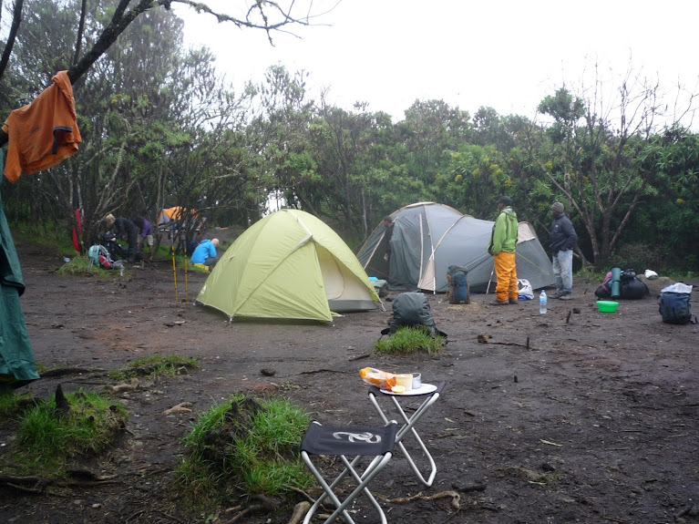 Танзания:Килиманджаро (Machame), Сафари, Занзибар. Январь 2013