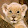 Maria Jester Maria Jester's profile photo