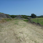 Road near helicopter shed in Botany Bay National Park (310298)