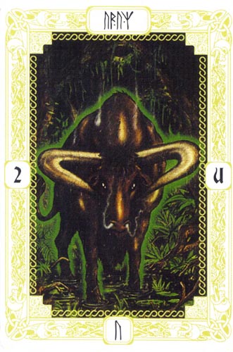 Рунный Оракул Классический (Runes Classic) D0403602
