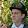 Don McCaskill Don McCaskill's profile photo