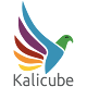 Kalicube