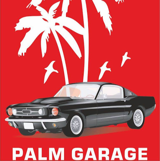 Palm Garage Oto Yıkama logo