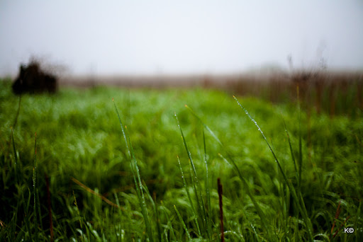 IMAGE: https://lh6.googleusercontent.com/-h4HjL84urTo/TeDWdfqMYnI/AAAAAAAAUF4/2-oAwW5XI_0/_MG_6418.jpg