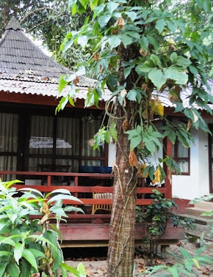 Майский Тай (Бангкок-Самуи-Тао)