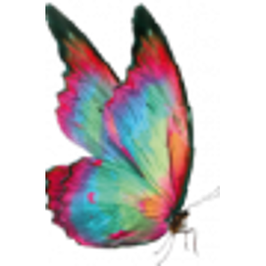 Papillon therapie en coaching logo
