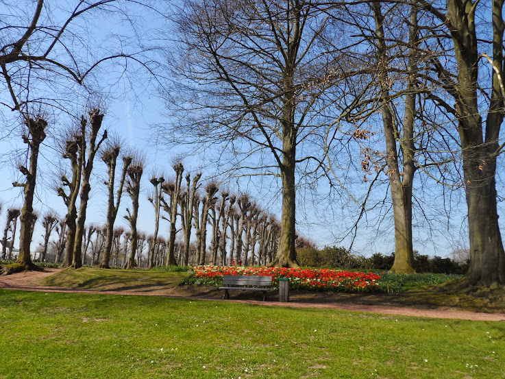Вылазки на природу в Бельгии (зоопарки, тематические парки и просто красивые места)