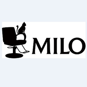 Milo Salon Equipments/ barber Chair/ Chaise De Barbier/barber Chairs/Salon Furniture logo