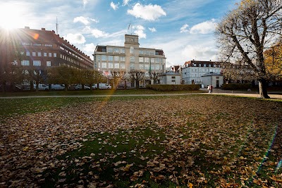 Photos of The Cinematheque