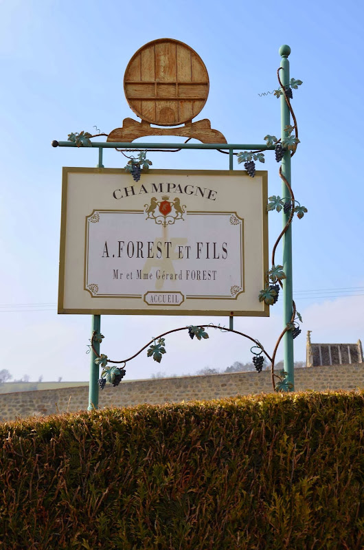 Main image of Champagne A. Forest et Fils