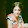 Sharon Johnson Sharon Johnson's profile photo