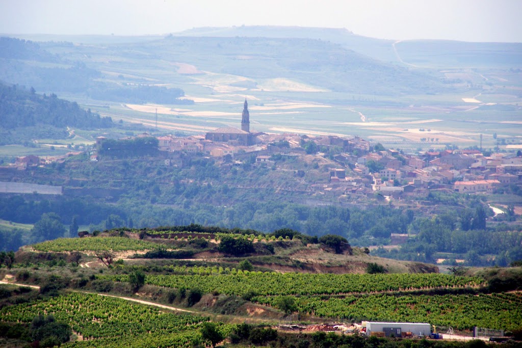 vistas desde Labastida, La Rioja Alavesa