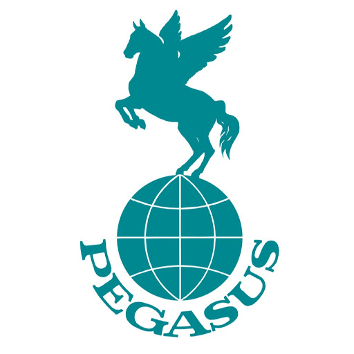 Pegasus Reiterreisen - Equitour AG logo