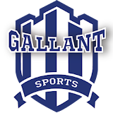 Gallant Sports & Infra Pvt Ltd
